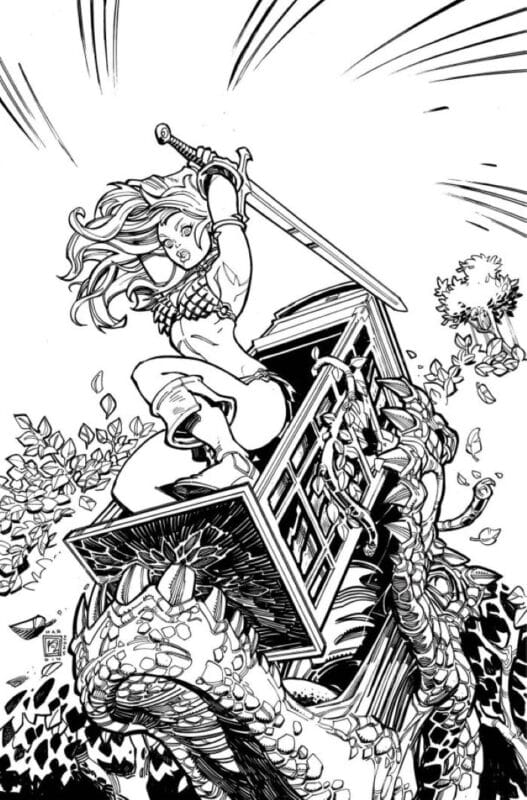 Sonja Reborn #2 - Cover J 1:15 Chad Hardin Black & White Virgin Variant