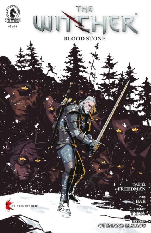 The Witcher: Blood Stone #2