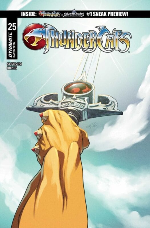 ThunderCats #25 - Cover D Emilio Pilliu Variant